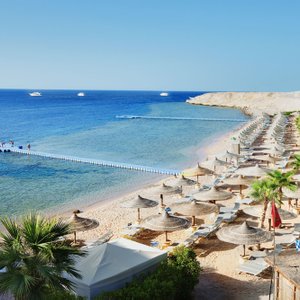 Why do people look for Sharm El Sheikh Apartments?