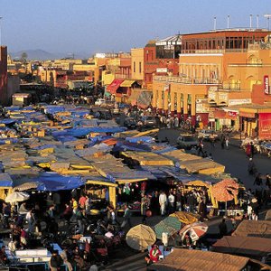 Des propriétés à louer à la Palmeraie, une zone luxueuse de Marrakech