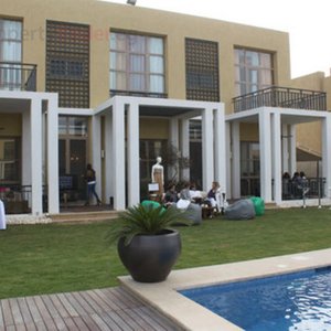 Villas for sale in Allegria sheikh zayed