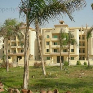 apartments for rent in greens shiekh zayed