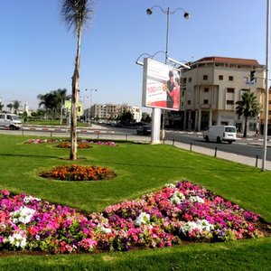 Berrechid est une ville marocaine située dans la région Casablanca-Settat. Elle occupe une importance colossale dans l’agriculture au Maroc. Son taux de participation au niveau national est de 13,25%