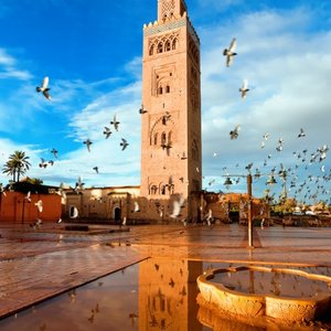 Terrain a vendre Marrakech
