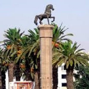 Propriétés à louer à Settat