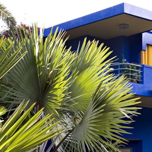 La seconde vie du Jardin Majorelle