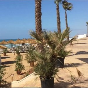 Appartement a vendre Plage des nations