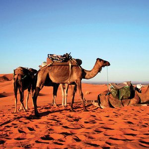 Les opérations d’acquisition et/ou de vente de terrains au Maroc