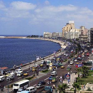 Alexandria properties for sale