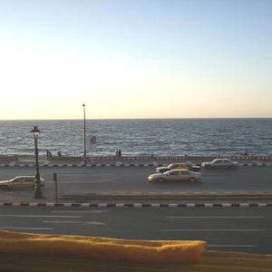 هل ارتفع الطلب على شقق للايجار في سبورتنج في الآونة الأخيرة؟