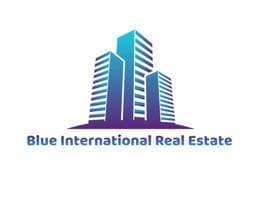 Blue International Real Estate LLC