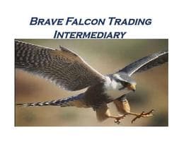 Brave Falcon Real Estate