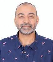 Wael Mostafa