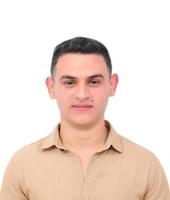 Mohamed Tarek