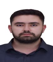 Hoseyn Mohammad Tayafeh Mamaghanian