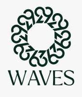 Waves Investments and Properties LLC (Sajwani)