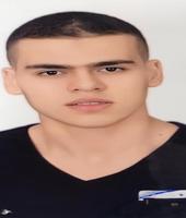 Mohamed Elshafei