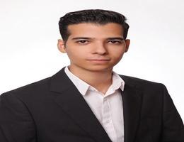 Mohammad Ali Mirzaei