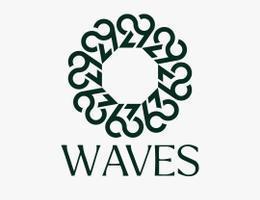 Waves Investment & Properties LLC  (Sajwani)