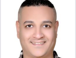 Mohamed  Mansour
