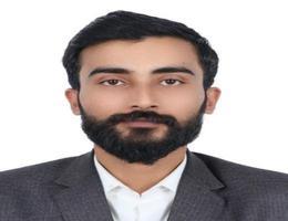 Ameer Hamza