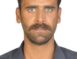Agent Avatar
