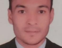 Agent Avatar