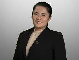 Agent Avatar
