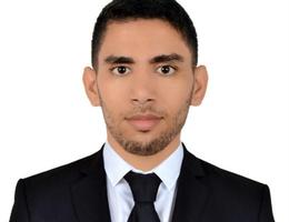 Hassane Berkaoui