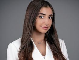 Sasha Amir