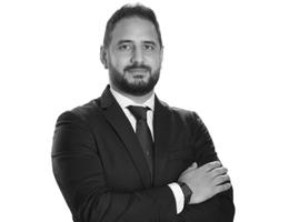 Agent Avatar