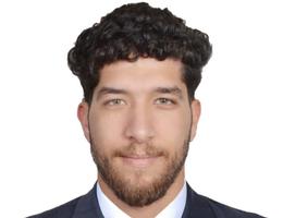 Agent Avatar