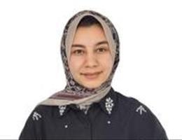Walaa Ahmed Elsayed