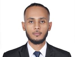 Ali Ibrahim  Ahmed
