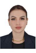 Agent Avatar