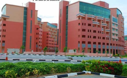 Apartment for rent in Discovery Gardens