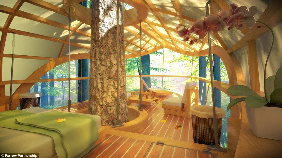 Canada S Fab New Luxury Eco Friendly Tree House Resort Unveiled