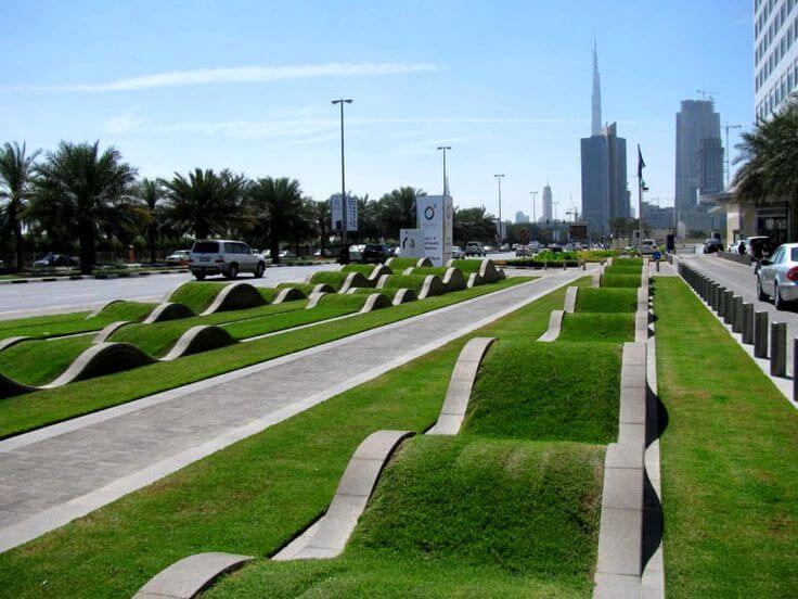 dubai grass