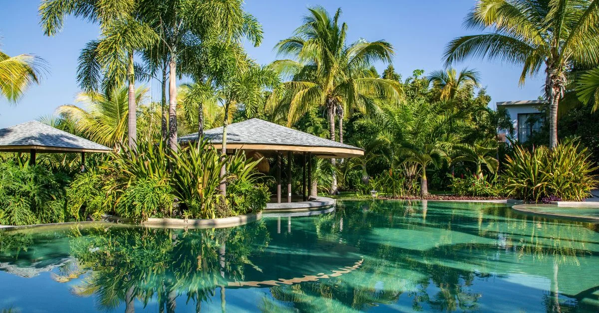 Island resort with palm trees