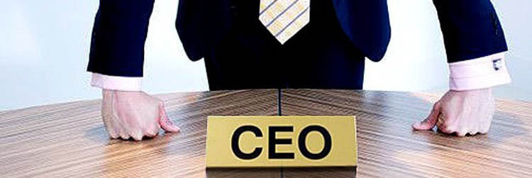 Chief Executive Officer (CEO)
