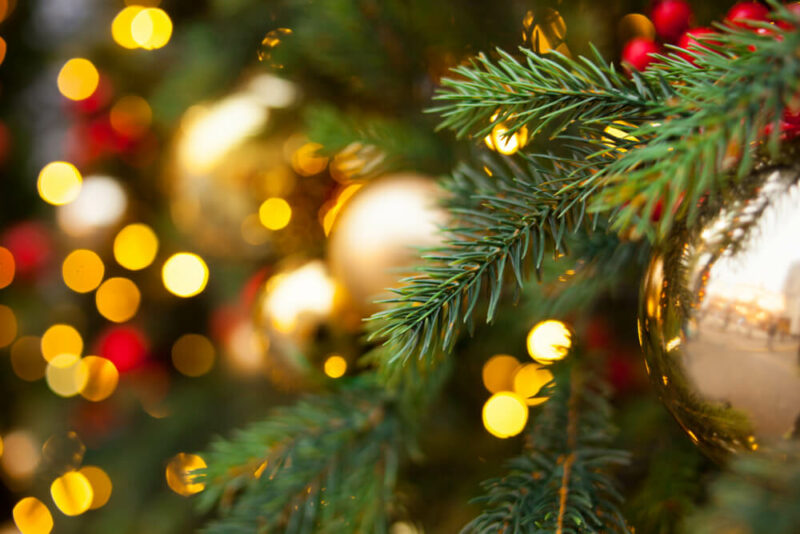 Places to Visit in Dubai for Christmas