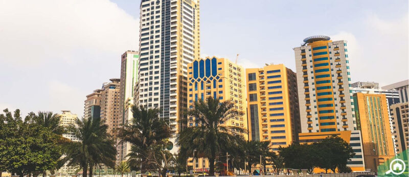 النهدة