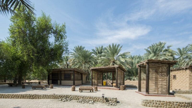 Al-Ain-Oasis