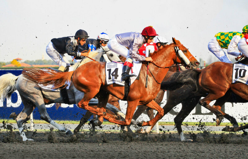 Meydan Racecourse