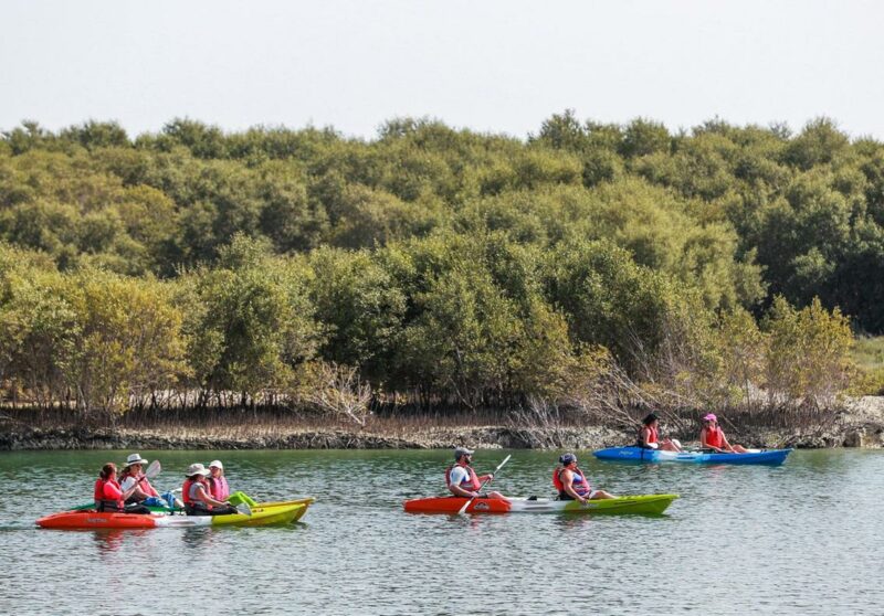 Jubail Island Kayaking