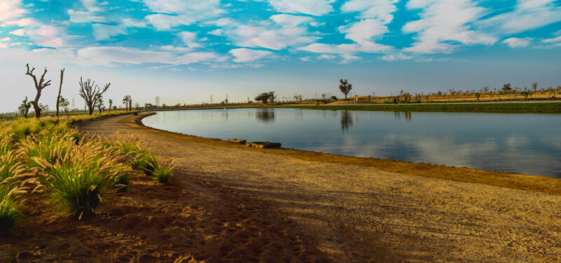Al Qudra Lakes in UAE 
