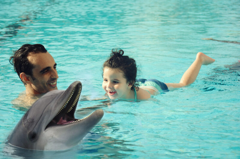 Swimming in dolphins in Dubai