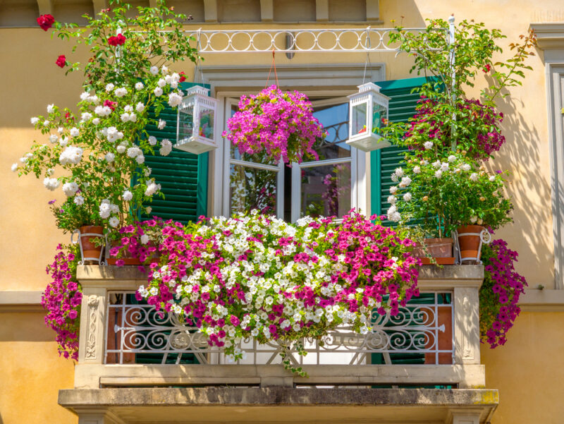 flower beds in small balcony