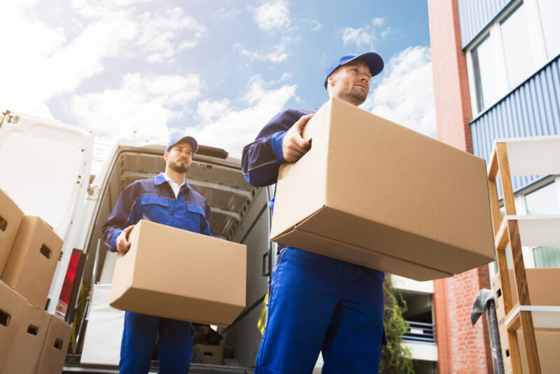 professional movers in dubai