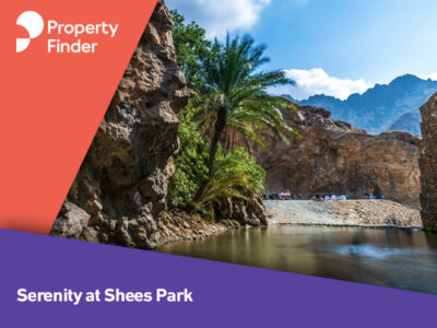wadi shees park