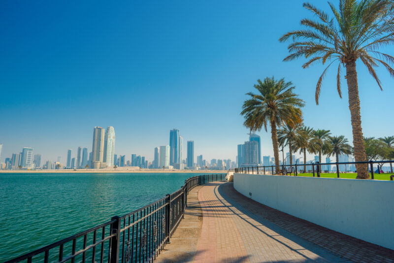 Best Parks in Dubai for Every Mood