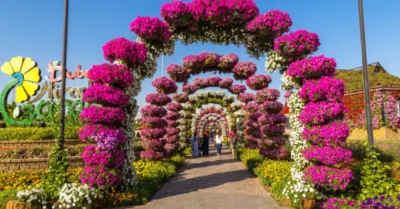 Dubai Miracle Garden